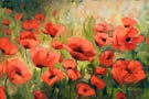 Beyond Poppies